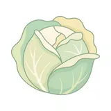 배추 — cabbage