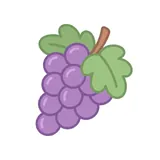 포도 — grape