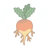 뿌리 — root
