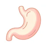 위 — stomach
